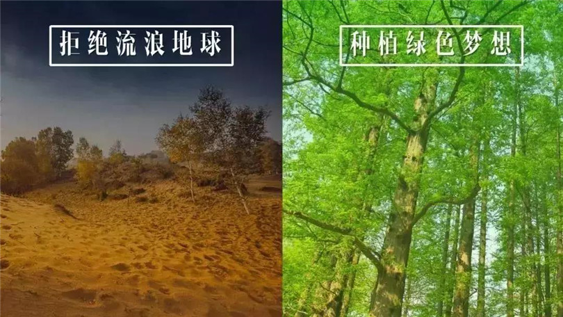 擁抱春天，共建綠色明珠